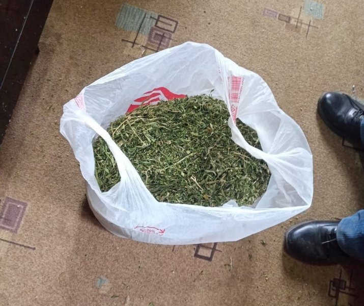В Нелидовском районе полицейские выявили факт хранения растительного наркотика