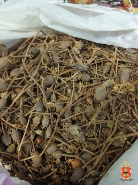 У жителя Нелидова полицейские обнаружили более полукилограмма растительного наркотика